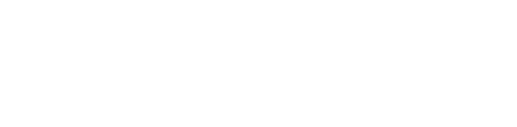 ویزما